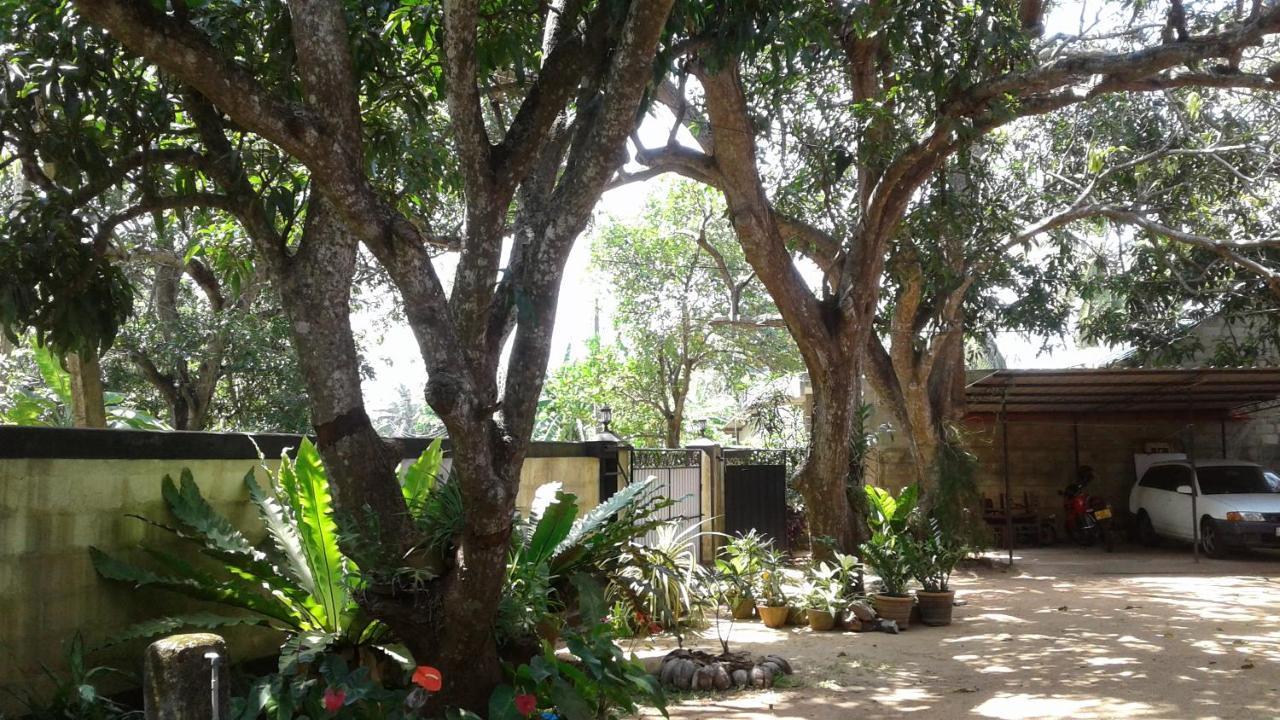 Water Front Home Stay And Resort Anuradhapura Exterior foto